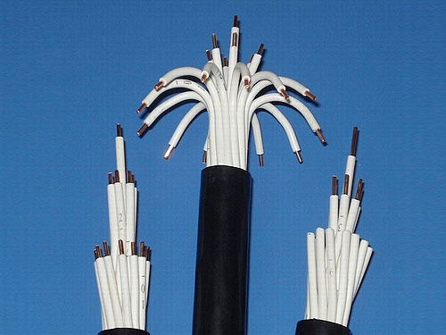 聚氯乙烯絕緣聚氯乙烯護套控制電纜